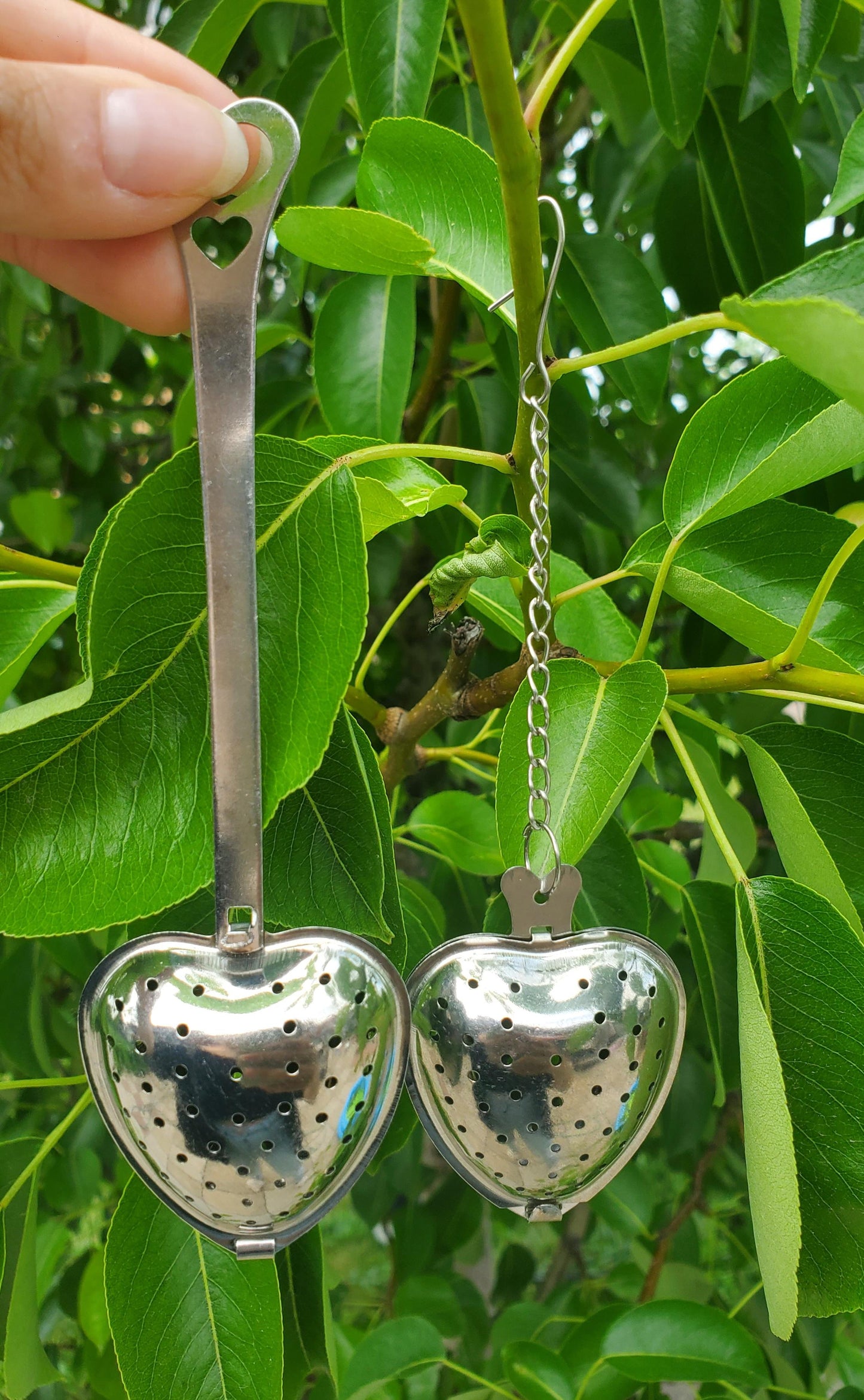 Heart Tea Infusers🫖