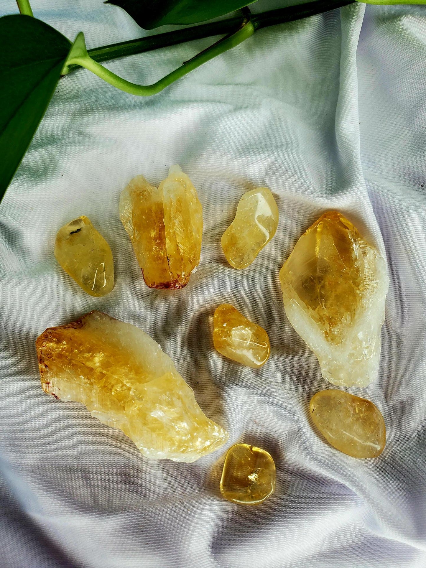 Citrine☀️