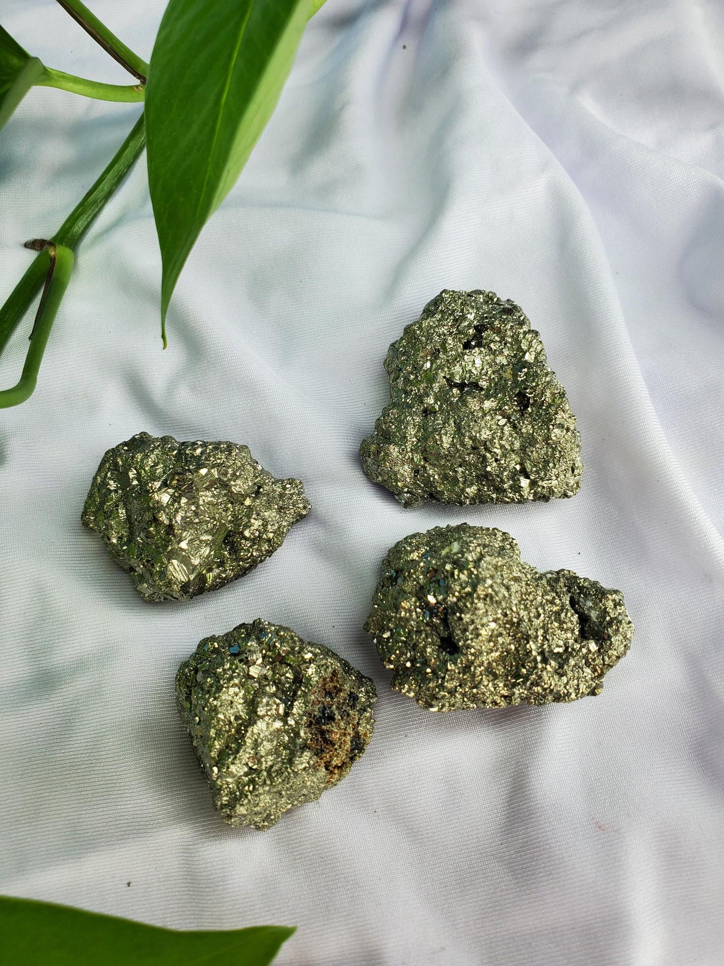 Pyrite🪨💰