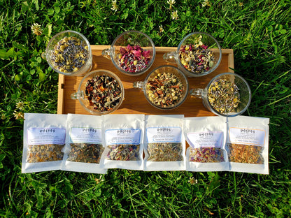The Herbal Tea Collection Bundle🫖