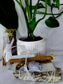 Healing Kit Bundle🌿✨